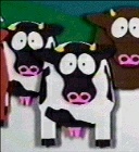 Cows (South Park)